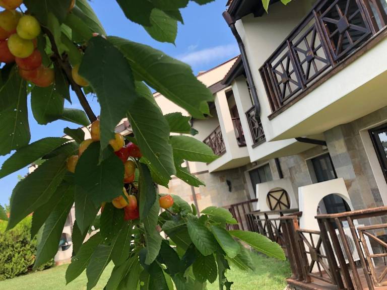 foto49