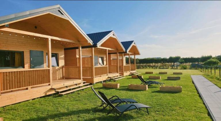 House with terrace, yard & barbecue in Ustron