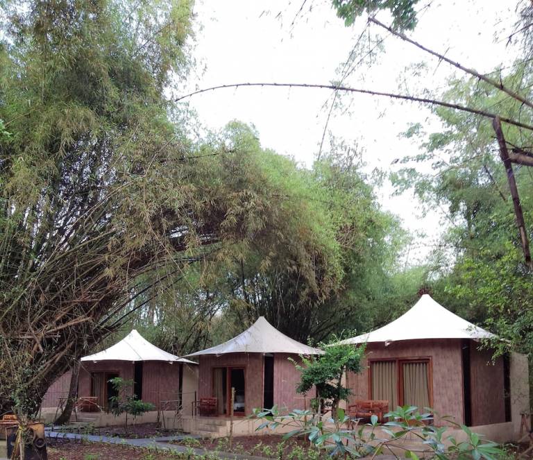 Bed and breakfast  Purworejo