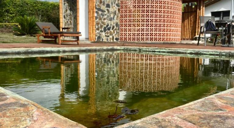 Ecohotel Alma — photo 3