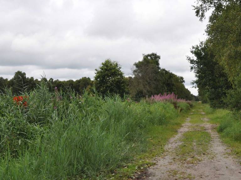 foto16