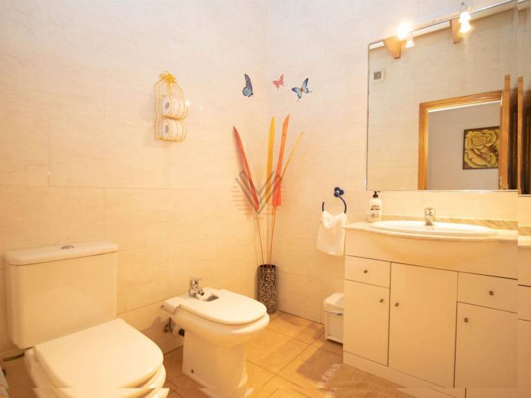 foto19