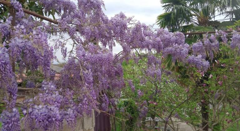 foto5