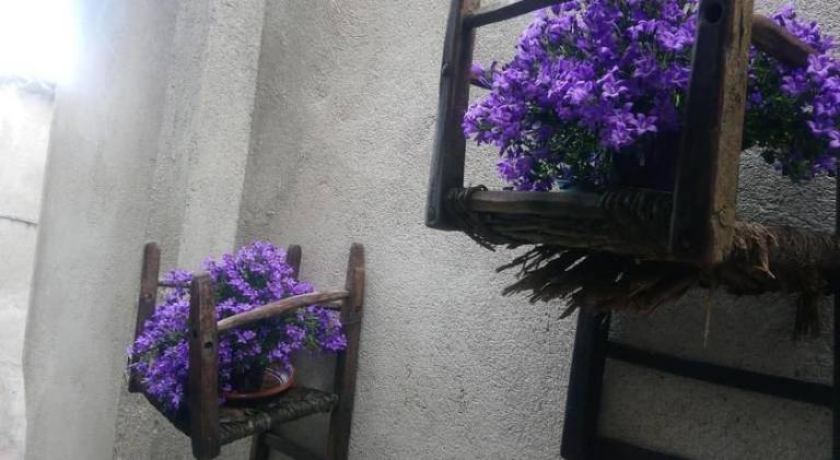 foto9