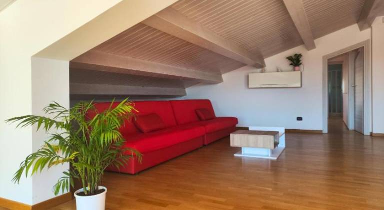 Spacious holiday apartment | Pets are welcome — photo 2