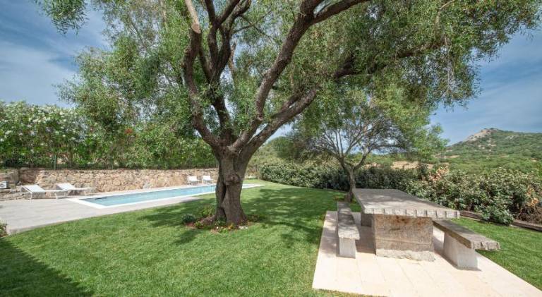 Wonderful villa with pool | Dogs allowed — photo 4