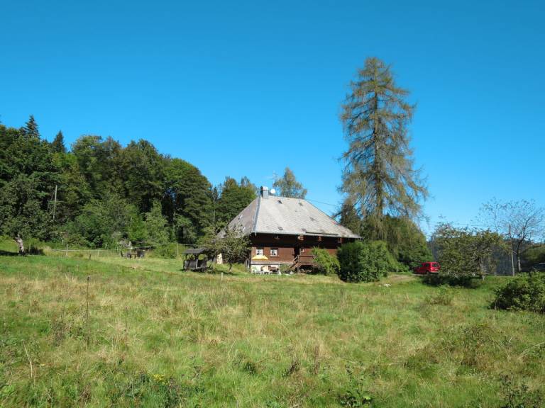 foto7