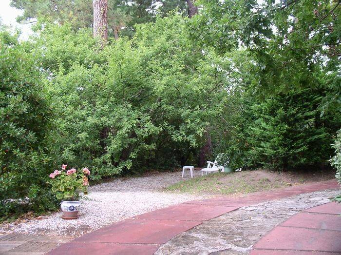 Holiday apartment with yard | City view | Dogs allowed — photo 2