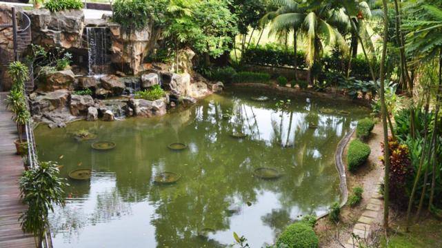 foto5
