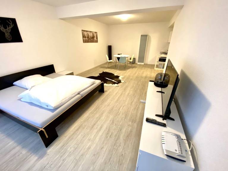 Ferienwohnung Mühlhausen