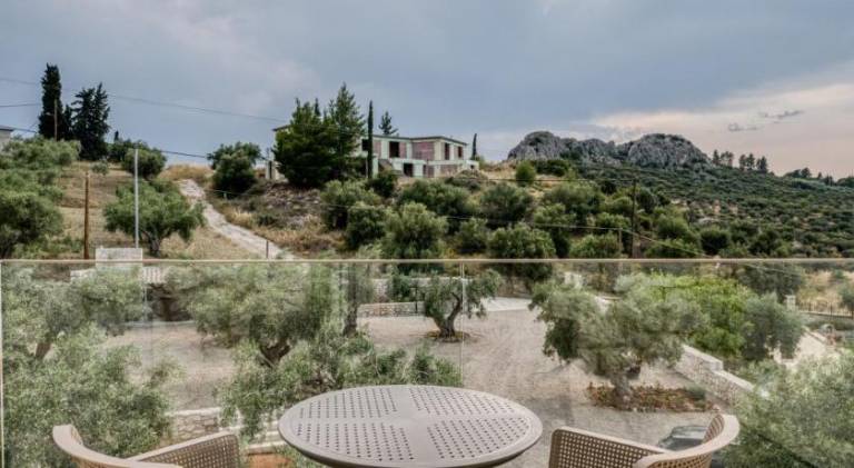 PALELIA living in the olive garden — photo 4