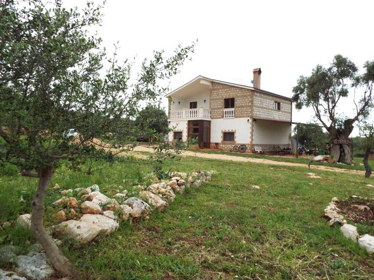 Bed & Breakfast San Nicandro Garganico