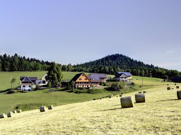 Ferienwohnung Wolfach