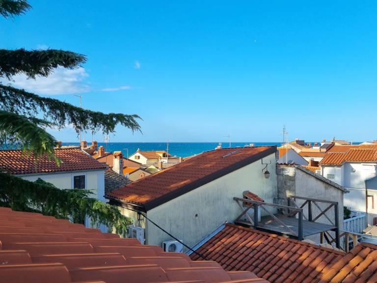 Holiday apartment | Sea view | Next to the beach | Pets allowed — photo 3