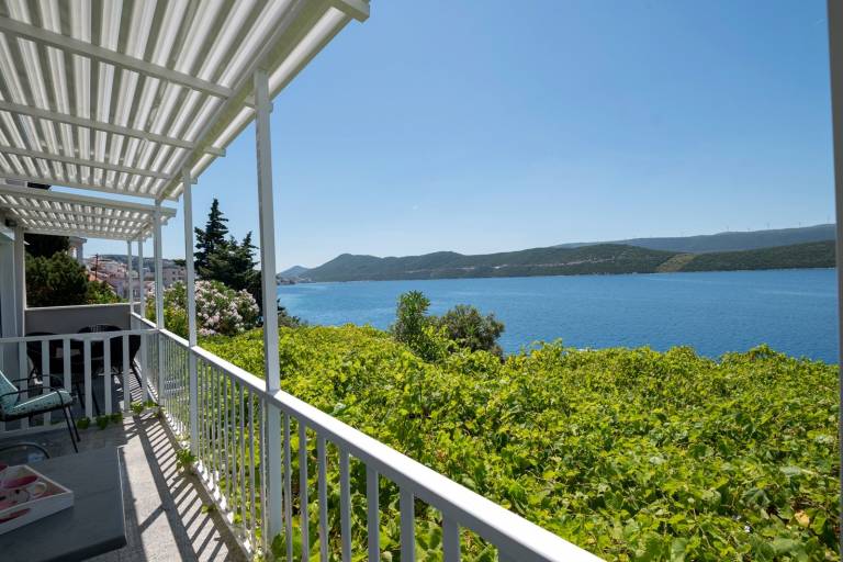 Studio  Neum