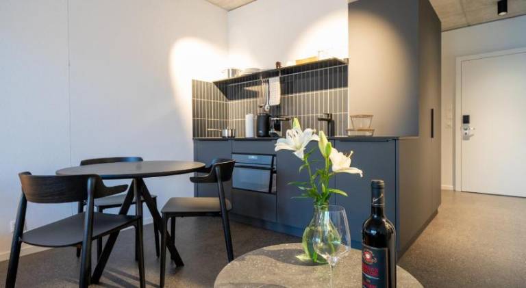 Serviced apartment with terrace — photo 5