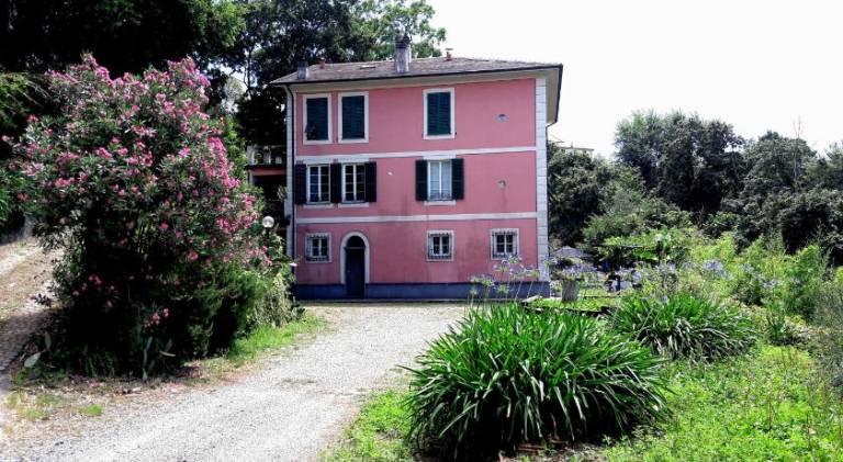 The italian riviera in Chiavari