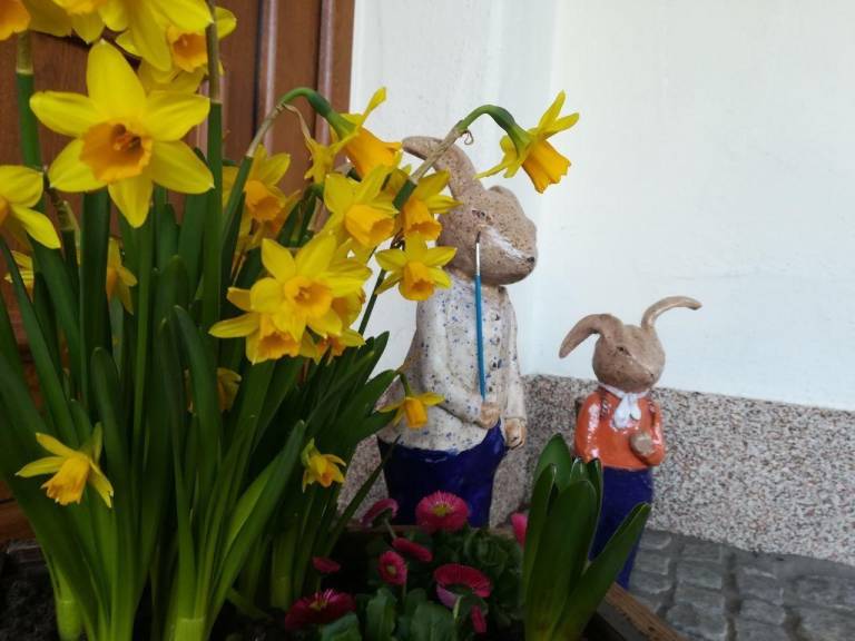 foto20