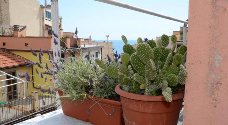 Viadeibanchi in Riomaggiore