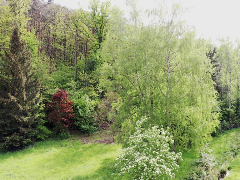 foto11