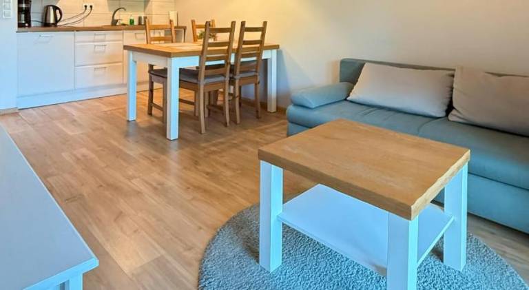 Apartment with jacuzzi, patio & sauna — photo 5