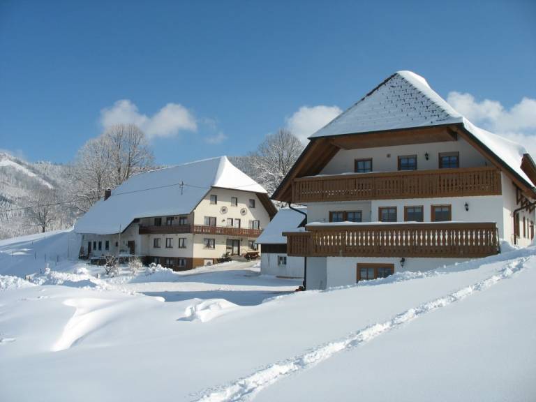 Ferienwohnung  Wiehre