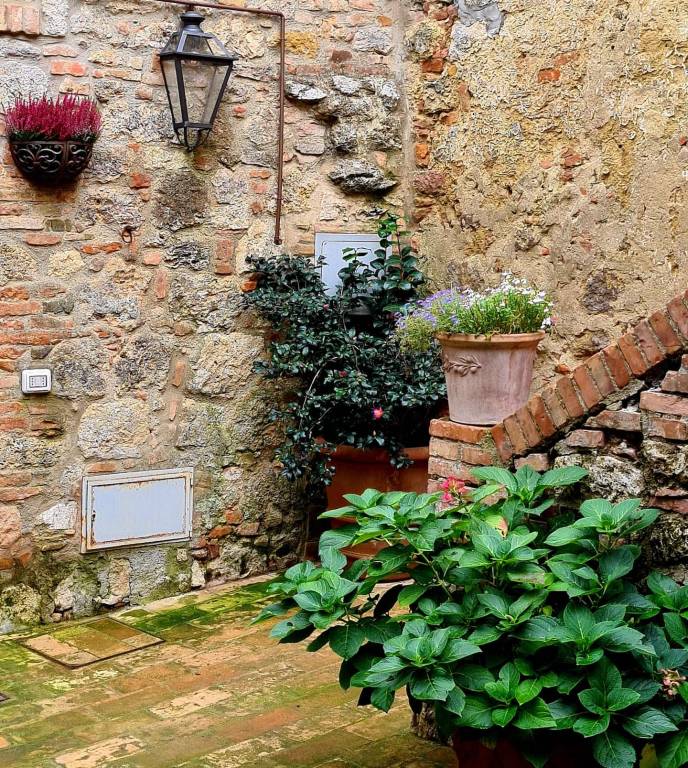 Apartment  Cetona