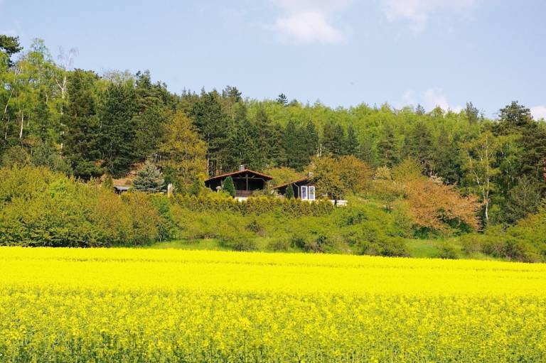 Ferienhaus Blankenburg (Harz)