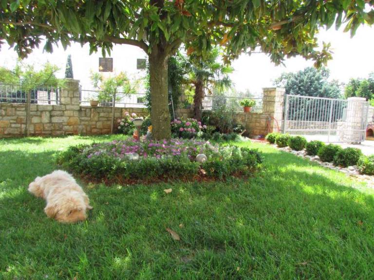 Holiday flat with balcony and air conditioning — photo 4