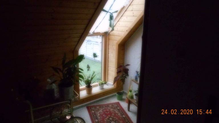 foto44