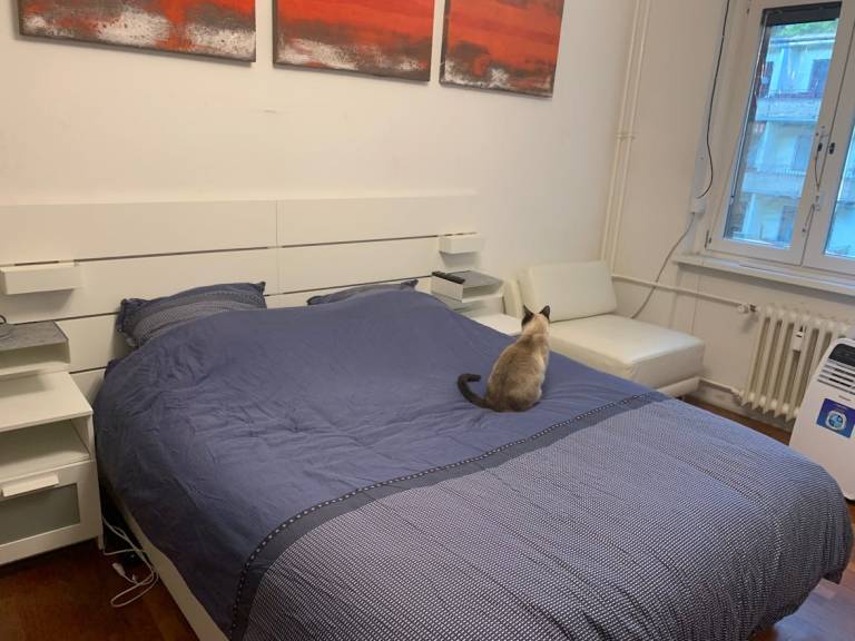 Chambre privée Bavarian Quarter