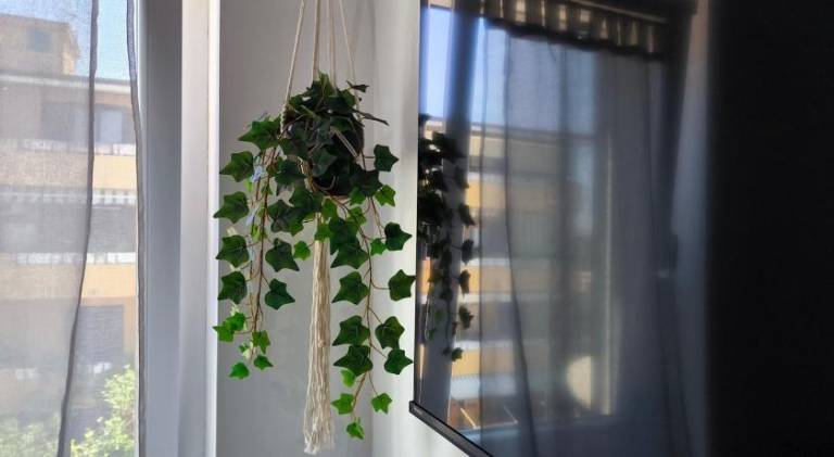 foto23