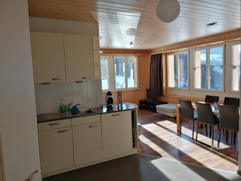 Ferienwohnung in Innertkirchen f&uuml;r max. 4 Personen