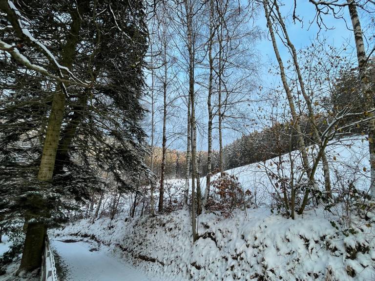 foto35