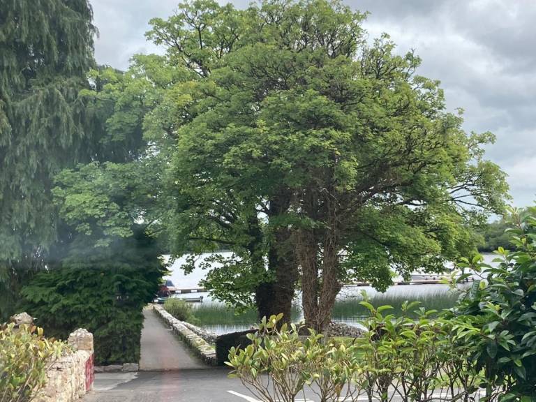 foto18