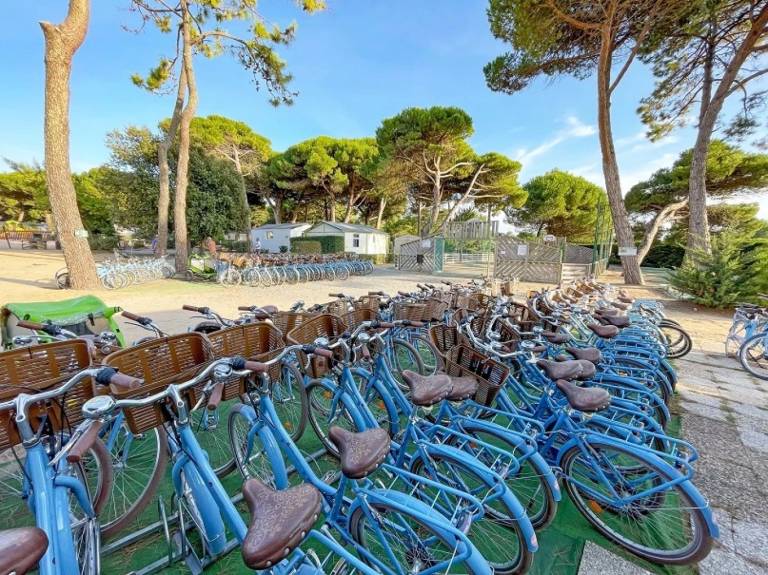 Family-oriented pleasant camping suite with barbeque, pool & terrace | Dogs allowed in Rochefort