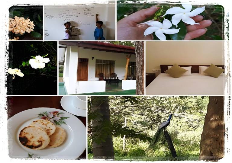 Bed and breakfast  Sigiriya