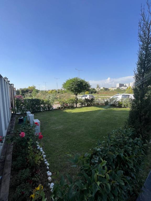 foto19