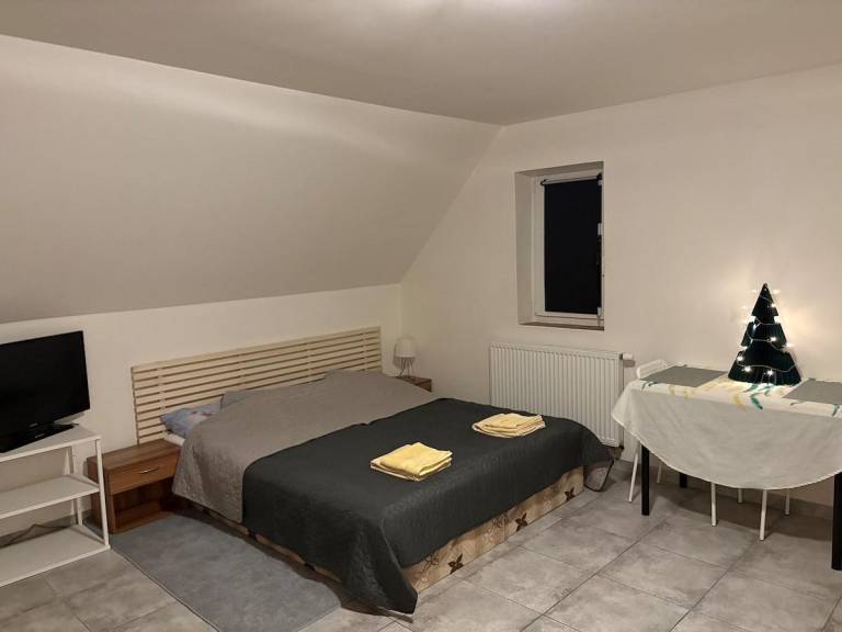 Children-friendly pleasant apartment with barbecue & yard | Perfect for remote work | Pet-friendly in Prague