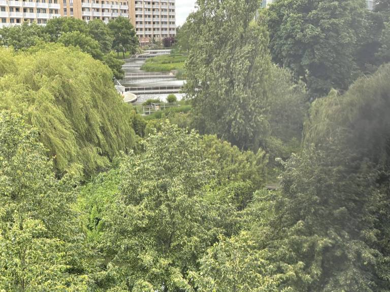 foto10