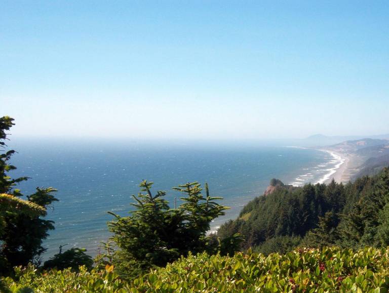 SureStay Plus by Best Western Gold Beach — photo 5