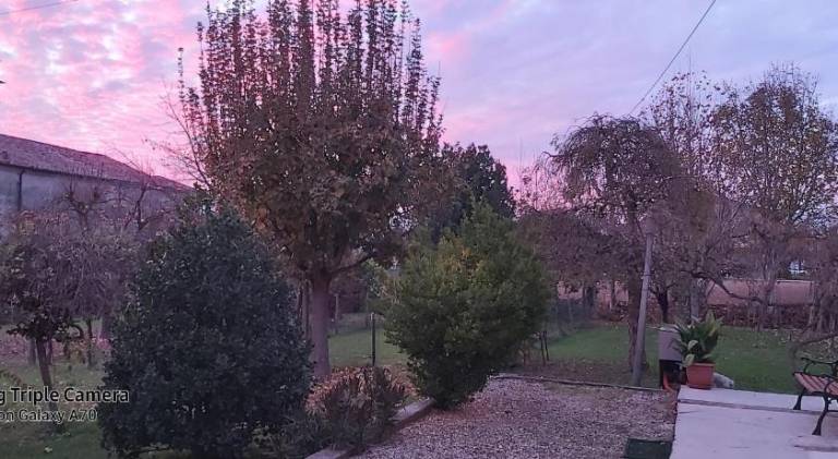 foto26