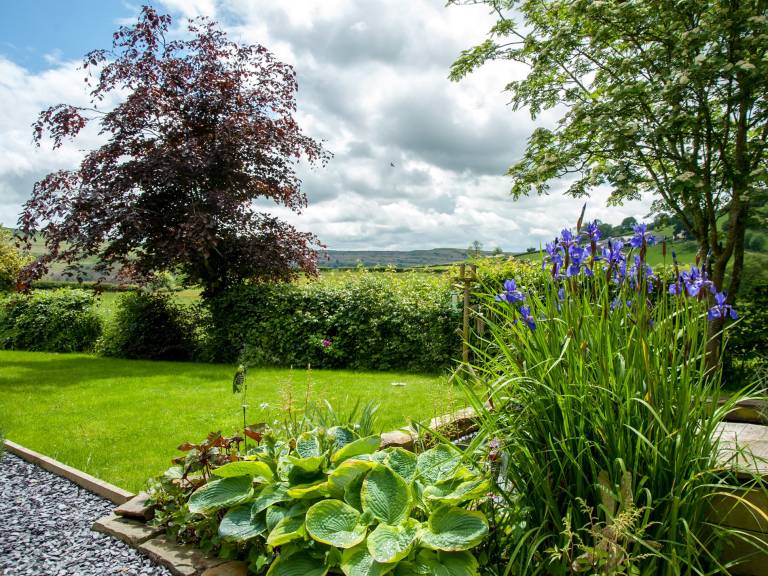 Cottage Builth Wells