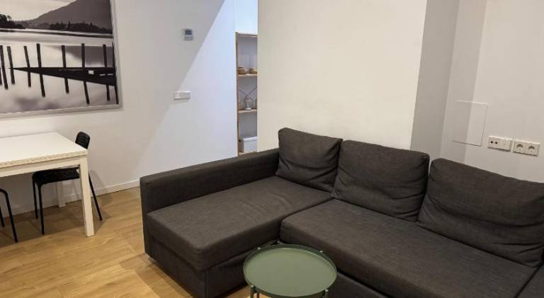 Rental apartment | Pets are welcome in Madrid