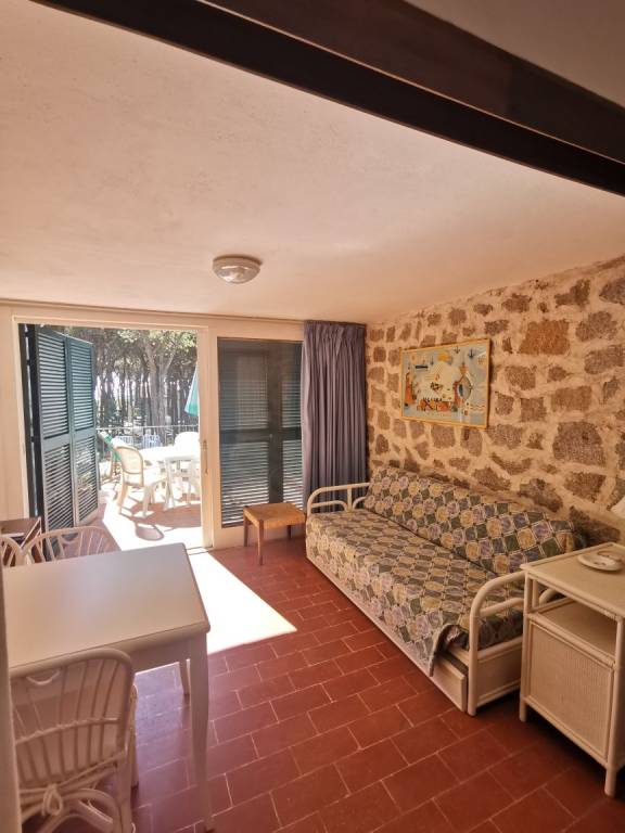 Fully equipped holiday apartment with garden & terrace | Pets are welcome — photo 4