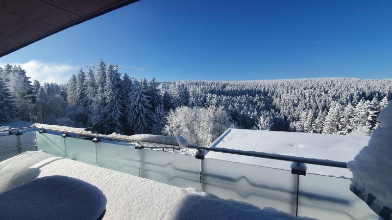 foto2