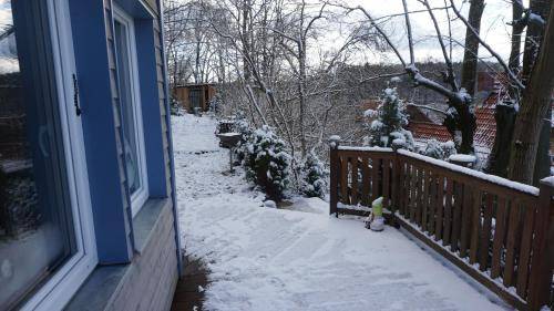 foto6