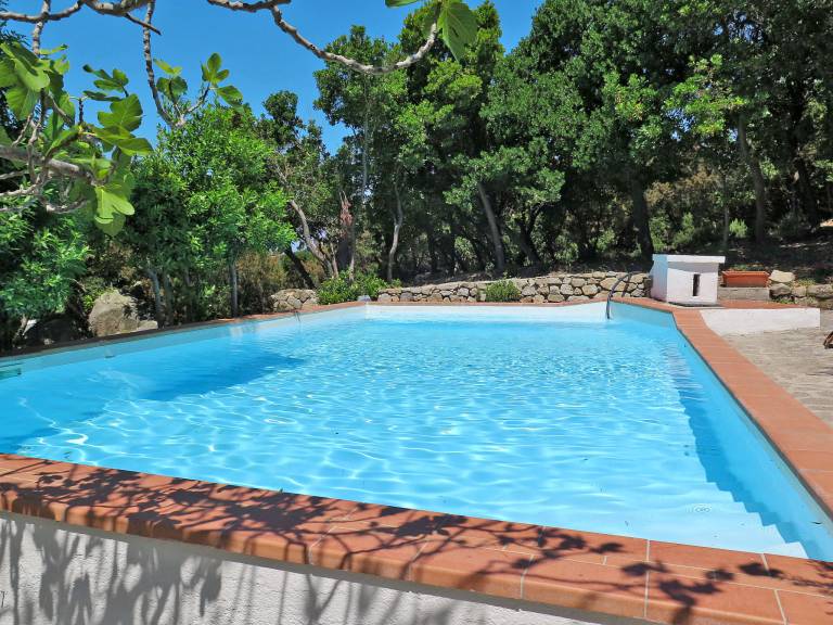 Fully equipped vacation home with terrace, garden & barbeque | Sea view | Pets allowed — photo 3