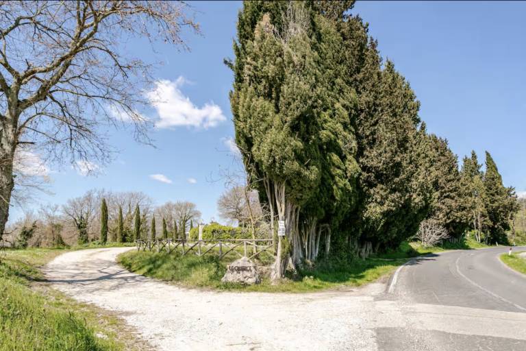 foto40