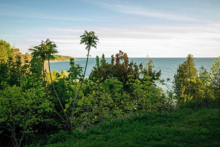 Cabin Goderich